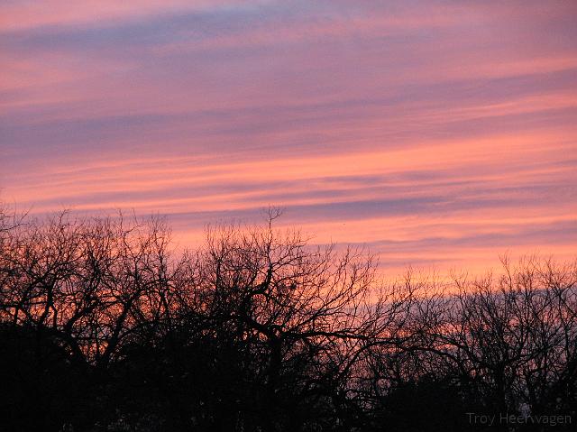 c1177 sunset sky trees 